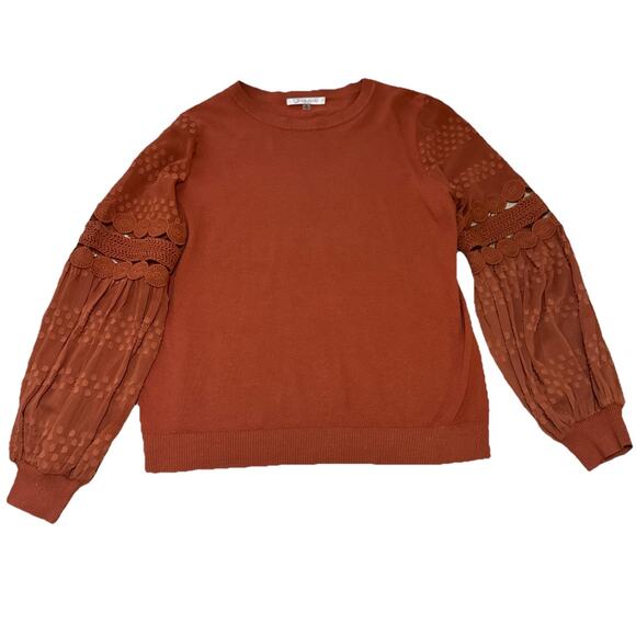 SIONI MILANO PLUS SIZE M RUSSET ORANGE SWEATER LACE SLEEVES FALL AUTUMN PUMPKIN - Picture 1 of 11